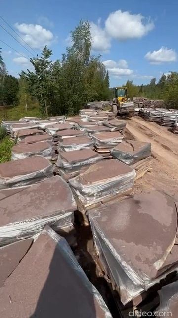 1 смотреть онлайн
