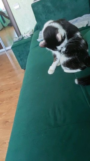 ОКАК