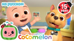 🎁 Где спряталась собака JJ# # CoComelon на русском — Детские песенки