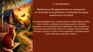 Молитва  Исцеление от болезни питомца кошки кота