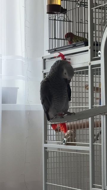 Copy_81459769-D755-4F08-A2E4-1D7D1DB826ED