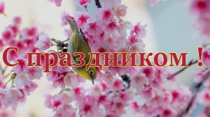 Тюльпаны #лучшее  #музыка