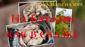 Как в сказке.Кому леща?Первомай.