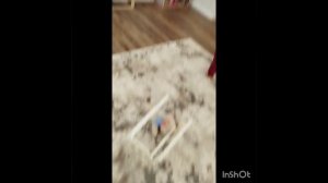 Наши питомцы сезон 1 серия 4