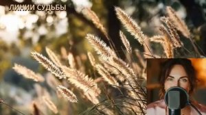 Брошенный жребий.