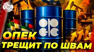 Эмираты уходят: сохранит ли альянс влияние?