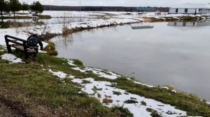 поимка карпа