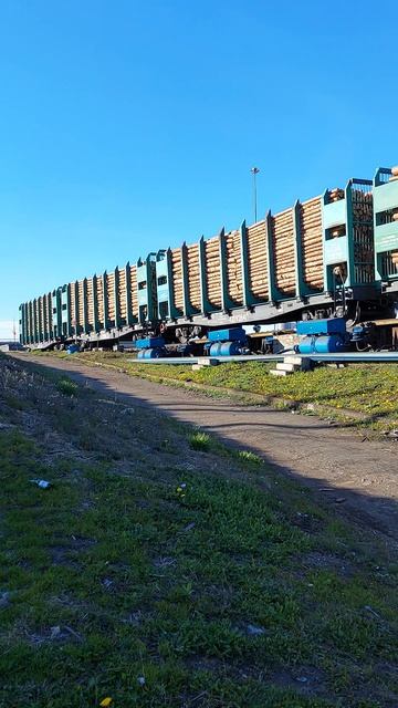 Сортировочная-Московская сортировка вагонов
