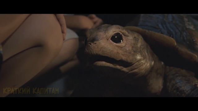 Парень и не подозревает, что его милый питомец вырастет в огромного кайдзю