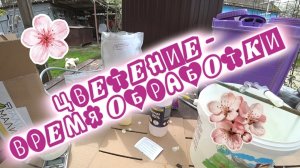 Обработка сада во время цветения. 1.05.26