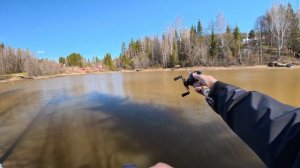 AWM Pastoral UD! Спиннинг который может ВСЁ! Тест-обзор.