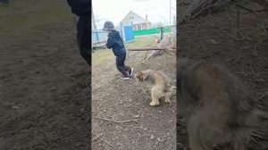 lv_0_20260501152500.mp4