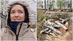 Ужас в Москве: очиститель посудомойки Финиш — честный обзор ❄️