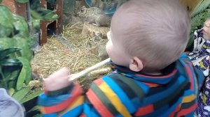 VID_20260501_154526.mp4