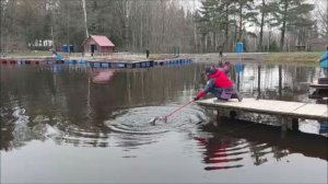 Поимки и сходы форели. Клёвое место, Лосиный остров, верхний водоём.