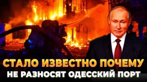 Стало известно почему Одесский порт не разносят в хлам