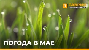В МЧС сообщили прогноз погоды с 1 по 3 мая