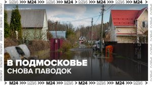 Повторный паводок пришел в Подмосковье - Москва 24