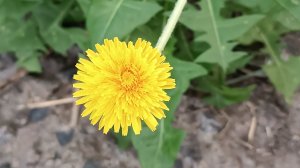 Один день из нашей жизни. 01-05-2026