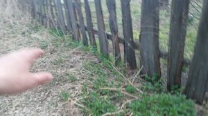 Такие соседи не нужны никому, таких соседей отдам хоть кому