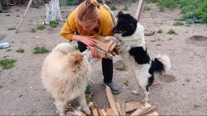 Во ВРЕМЯ СЪЁМОК Приехала ПОЛИЦИЯ! Что ЖЕ МЫ Натворили?!
