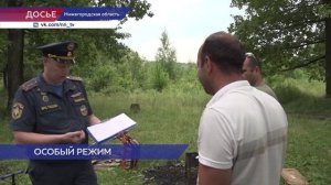 Особый противопожарный режим ввели в лесах Нижегородской области
