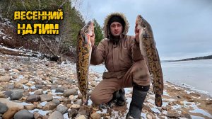 Налимья рыбалка в живописном месте на р.Кама