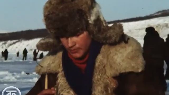 Отдых на льду. Новости. Эфир 6 февраля 1982