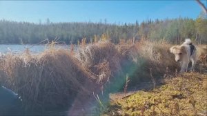 Уютные весенние деньки в Финляндии 🌼 Прогулка по озеру, рыбалка и лимонные крендельки 🍋 Влог о нес