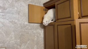 Сегодня я к вам с моим любимым Мальчиком!