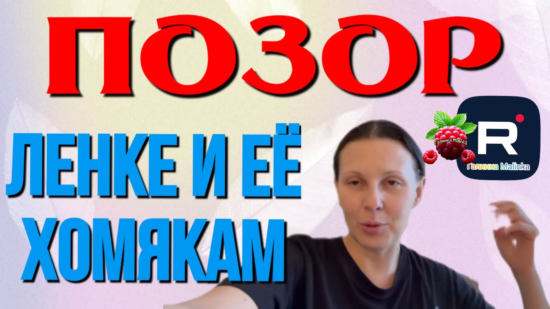 Big Big Family in the USA _Позор Ленке и её хомякам _Обзор _Биг Биг Фэмэли _Жизнь в Америке _