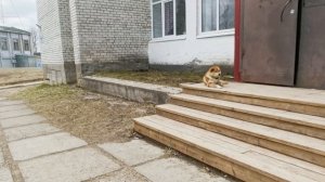 Первомай: хроника двух дней.