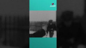 Кровавая расправа
