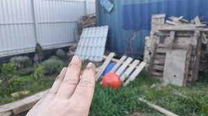 дипрессия в России 🌟 уборка в огороде🧹