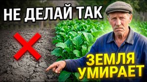 3 ОШИБКИ с сидератами которые УБИВАЮТ вашу землю вместо того чтобы её ЛЕЧИТЬ