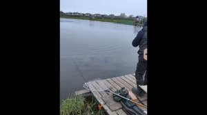 VID_20260501_100109