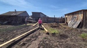 вот это сюрприз, все в сборе/ ставим теплицу/внукам раздолье
