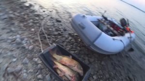 БИТВА С МОНСТРАМИ!!!!ГНУТ ДО ВОДЫ - БРЫЗГИ И ТРЕСК! Рыбалка на крупного сазана