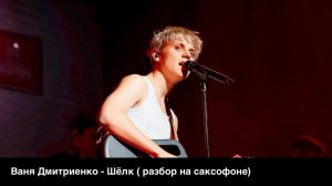 Ваня Дмитриенко - Шёлк  (Разбор на саксофоне)