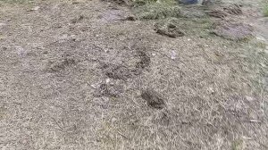 крутое видеоролик фильм