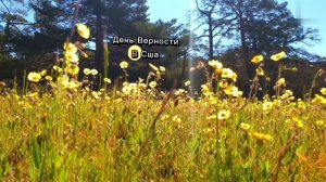 Праздники на сегодняшний день 1.05.26 г.в России и в других странах мира.