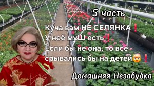 5 часть. Куча вам НЕ СЕЛЯНКА❗️У неё муШ есть❗️Если бы не она ,то все срывались бы на детях🤯❗️