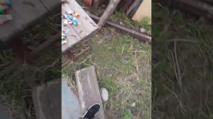 1000002952.mp4
