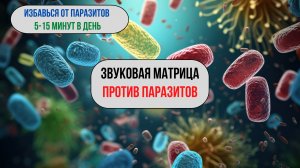 Матрица против паразитов 🦠 | Очищение организма на клеточном уровне