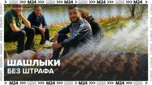 Штраф за шашлык в неположенном месте составит до 15 тысяч рублей - Москва 24