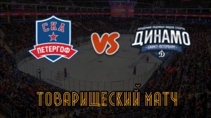 СКА Петергоф 14 - Динамо 15