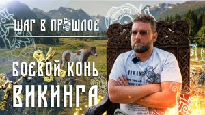 Шаг в прошлое: Боевой конь викинга