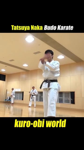 Naka Tatsuya. Budo. Bunkai. Shotokan karate. Нака Татцуя Сенсей. Каратэ Шотокан, Будо, бункай