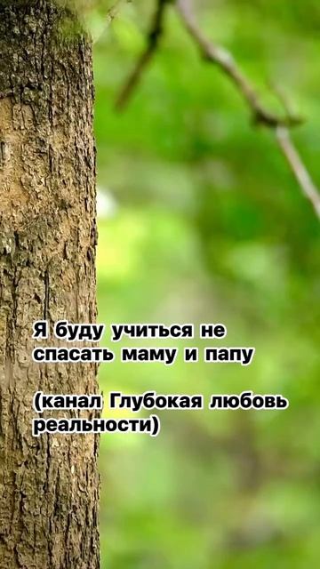 « Я буду учиться, не спасать маму и папу».       (трилогия «Глубокая любовь реальности»)
