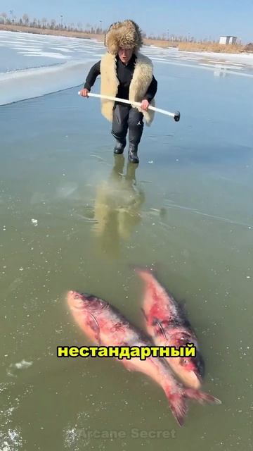🔥🐟 Зимняя рыбалка - от кислородных ловушек до бетонн